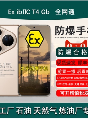 Pura 80 Ultra微曲6.8英寸5700mAh电池100W有线80W无线快充定制防爆手机Ex化工厂天然气石油库医药工业带证书