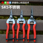 佐川田908稀果剪翘头采果剪修花枝剪葡萄柑橘桔子摘果剪蔬果剪刀