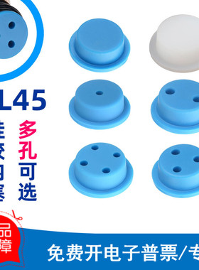 蓝盖瓶口GL45硅胶内塞流动相瓶塞开孔顶空胶盖1/2/3/4孔厌氧瓶内