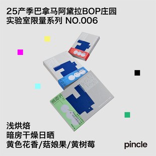 巴拿马阿黛拉BOP庄园瑰夏暗房干燥日晒咖啡豆 45克 Lab Pincle