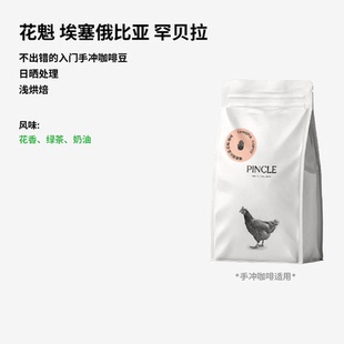 Pincle拼一口花魁水蜜桃杏桃柑橘红茶埃塞罕贝拉精品手冲咖啡豆