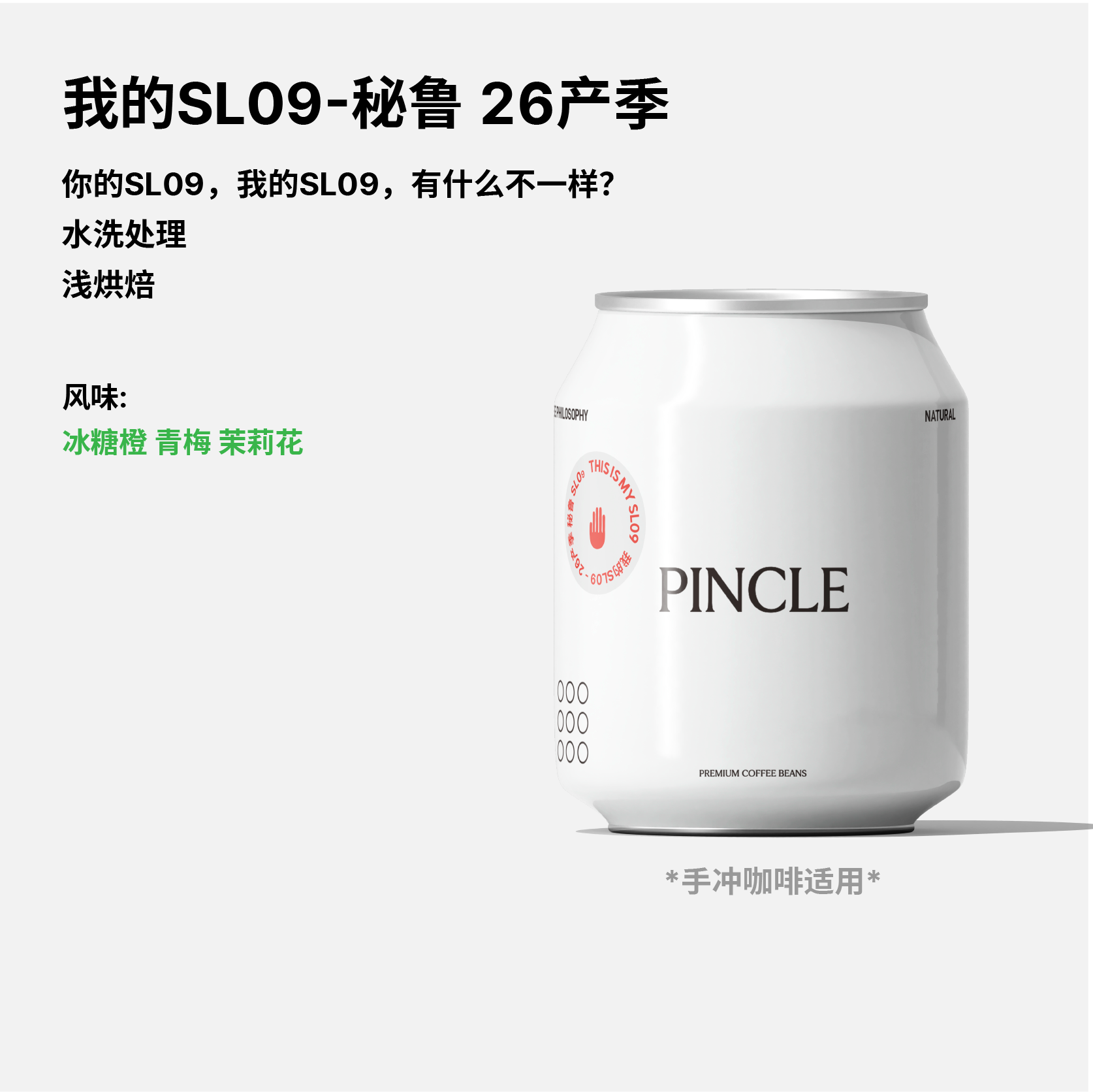 Pincle拼一口我的SL09冰糖橙青梅茉莉花秘鲁高海拔水洗手冲咖啡豆