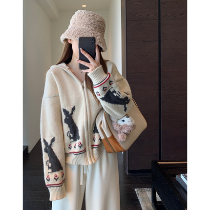 AMR UU◆氛围感 慵懒时髦提花毛衣连帽拉链开衫外套女2025新秋冬