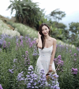 泰国正品代购碎花法式修身气质长裙