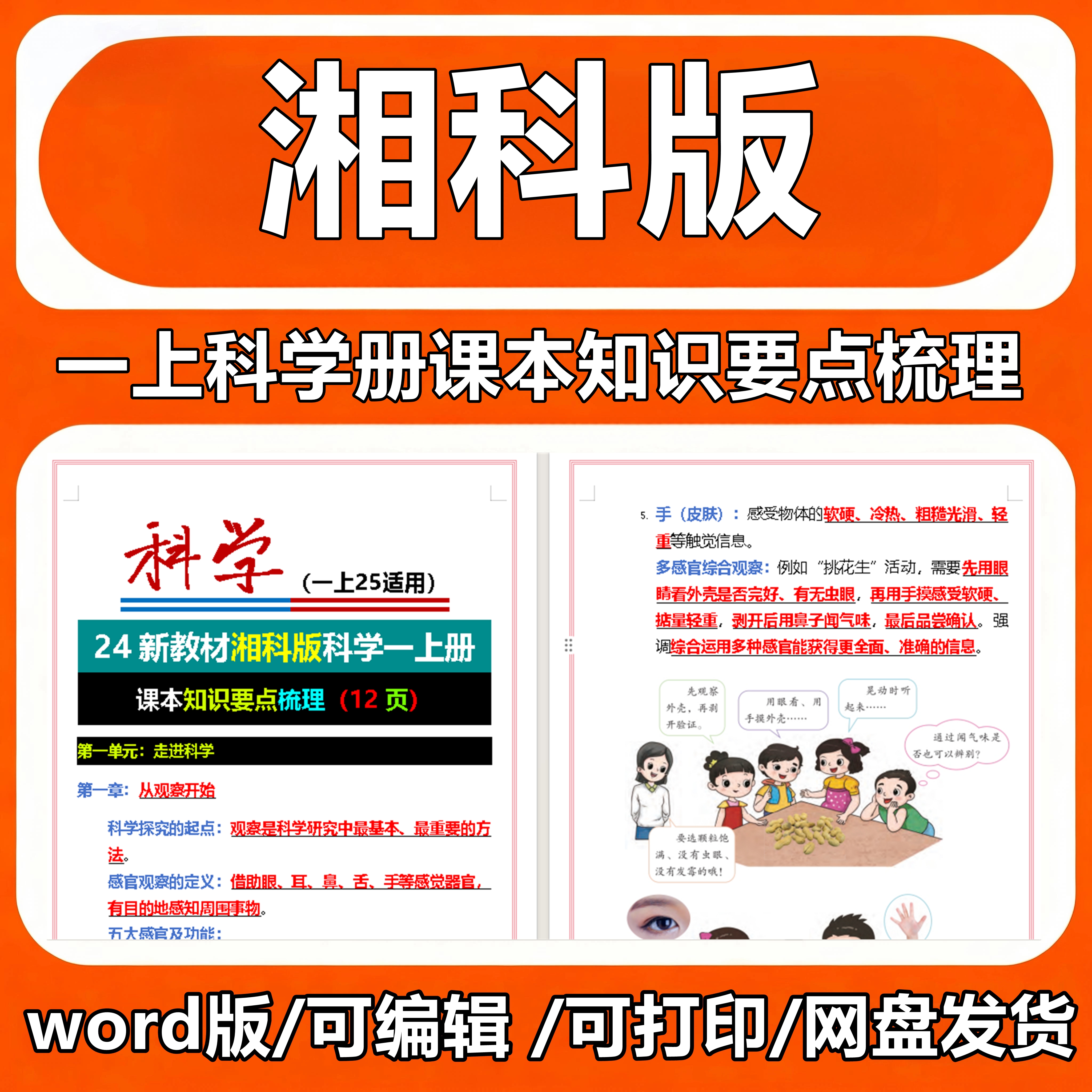 24新教材湘科版科学一上册课本知识要点梳理