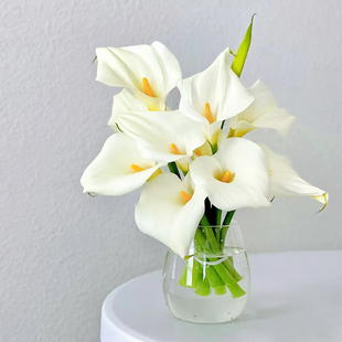 马蹄莲鲜花花束云南昆明基地直发速递同城家用水养办公室客厅装饰