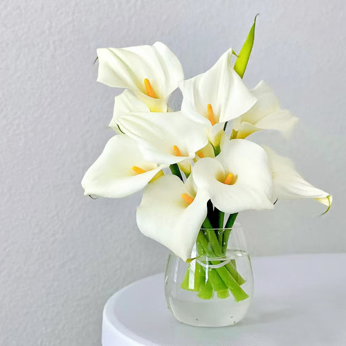 马蹄莲鲜花花束云南昆明基地直发速递同城家用水养办公室客厅装饰