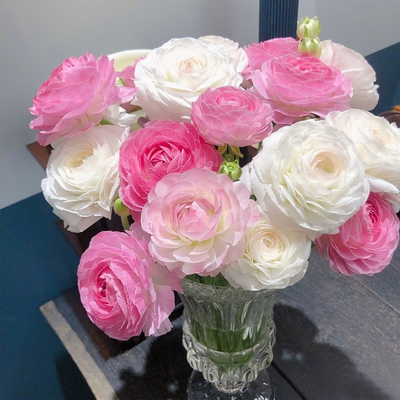 洋牡丹鲜花花束速递同城配送云南昆明基地直发生日礼物家用妇女节