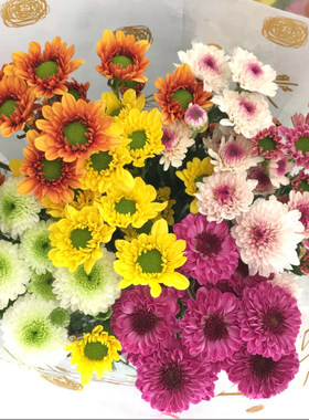 鲜花云南昆明基地直发速递小雏菊