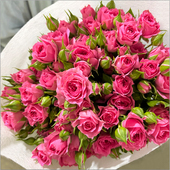 多头小玫瑰泡泡云南昆明直发鲜花花束速递同城苏菲宝贝教师节礼物