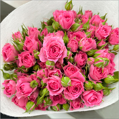 多头小玫瑰泡泡云南昆明直发鲜花花束速递同城苏菲宝贝教师节礼物