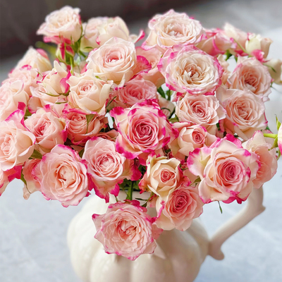 折射多头小玫瑰泡泡云南直发鲜花花束速递同城橙色芭比情人节礼物