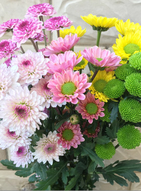 鲜花花束小雏菊云南昆明基地直发