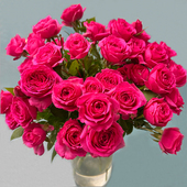 多头小玫瑰泡泡云南直发鲜花花束速递同城苏菲宝贝520情人节礼物
