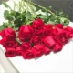 Red Rose 8 ветвей + 2 ветви (предотвращение потери) Свежий консервант