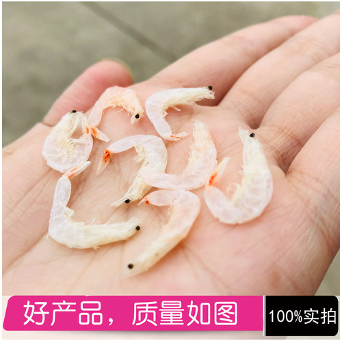虾皮宝宝婴儿福建霞浦500g