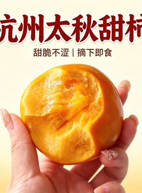 正宗杭州塘栖太秋金奖无涩脆甜柿