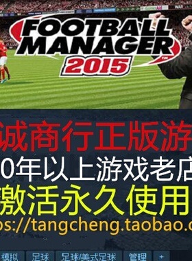 足球经理2015 PC正版STEAM Football Manager 2015 FM2015
