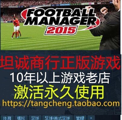 足球经理2015 PC正版STEAM Football Manager 2015 FM2015