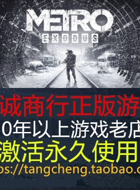 地铁:离去 Metro Exodus PC正版STEAM