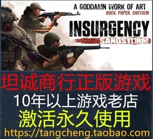 Insurgency Sandstorm 叛变 沙漠风暴 叛乱 沙漠风暴 STEAM正版PC