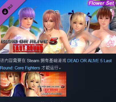 Flower Set 死或生5 衣服装包DLC STEAM DOA5LR Flower Set