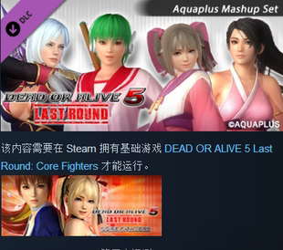 DOA5LR AQUAPLUS Mashup Set 死或生5 衣服装包DLC STEAM