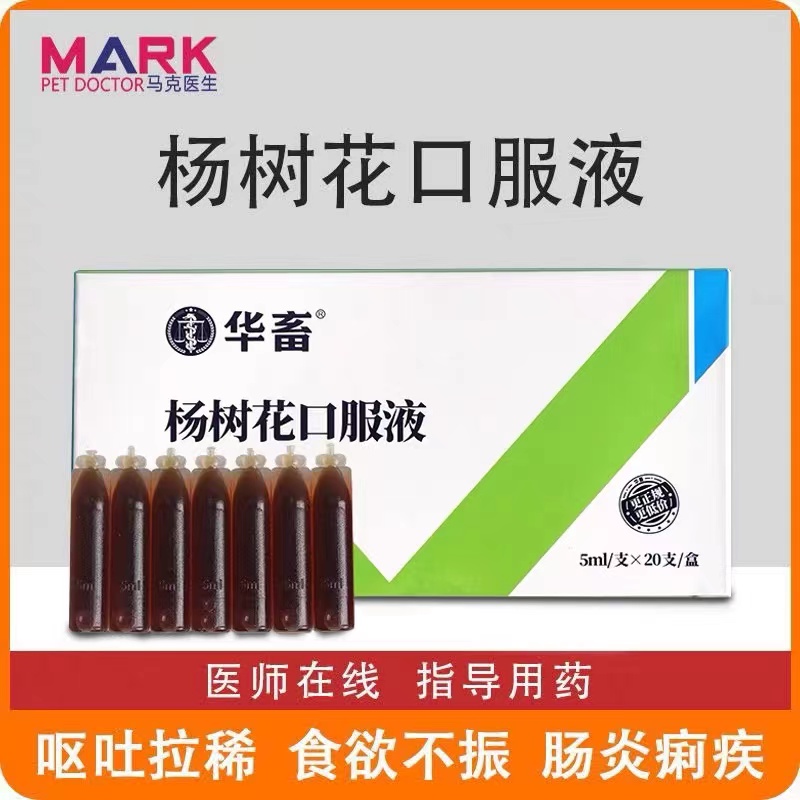 肠胃炎呕吐食欲不振猫瘟杨树花