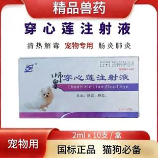 犬猫细小康猫宠物肠炎腹泻呕吐狗狗细菌病毒性胃肠炎猫瘟猫咪拉稀