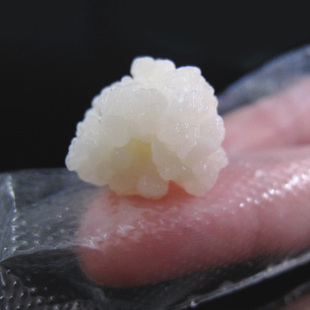 Kefir 开菲尔菌种奶克菲尔不同西藏雪莲菌 颗粒酸奶菌常温发酵