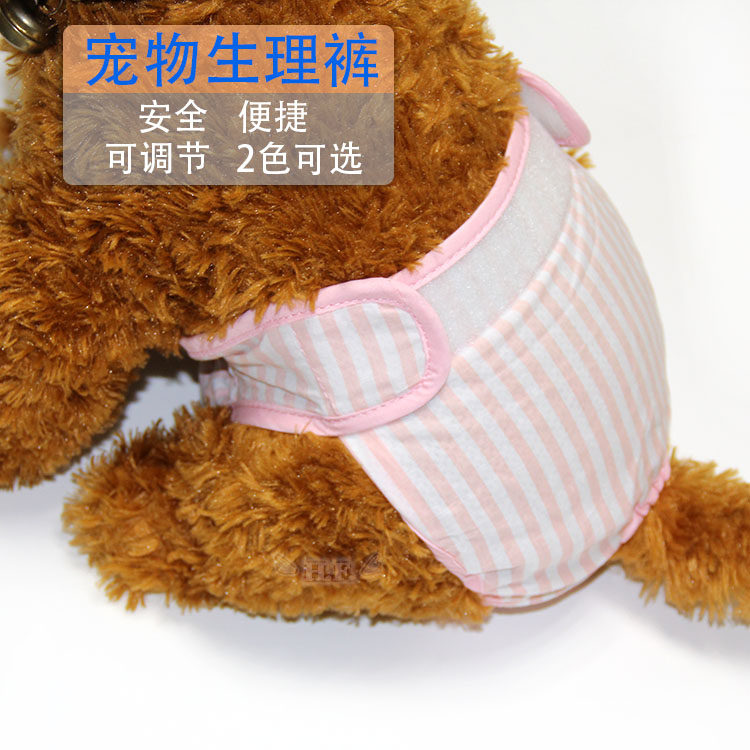 狗狗生理裤大型犬卫生裤透气泰迪比熊小狗安全裤夏金毛母狗月经裤
