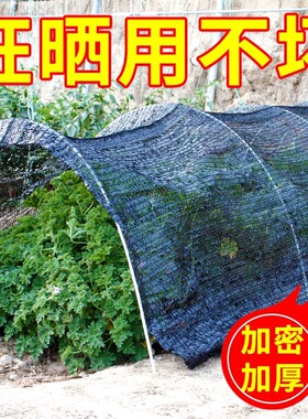 遮阳网种菜用的黑网蔬菜专用防晒网菜地农用植物遮阴网黑色太阳网