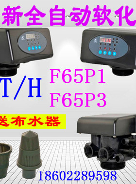 润新软化阀 水处理软水多路阀时间流量2T/H F65P1/P3 F65B1/B3