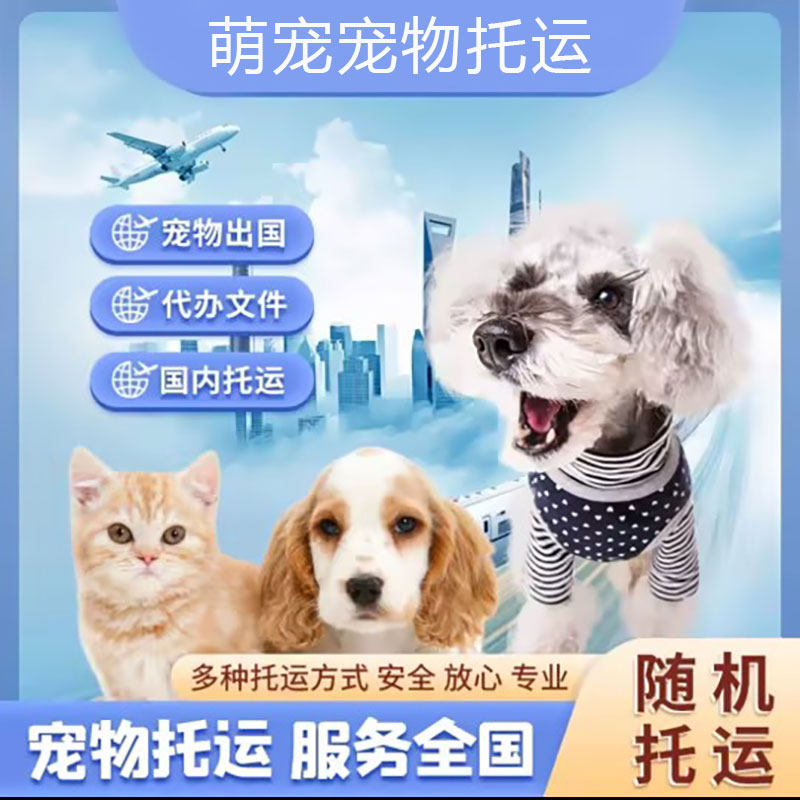 萌宠宠物托运宠物托运全国托运