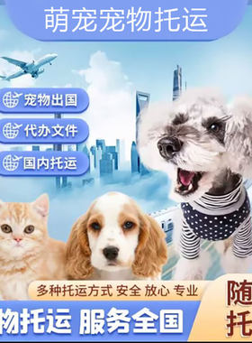 萌宠宠物托运宠物托运全国托运