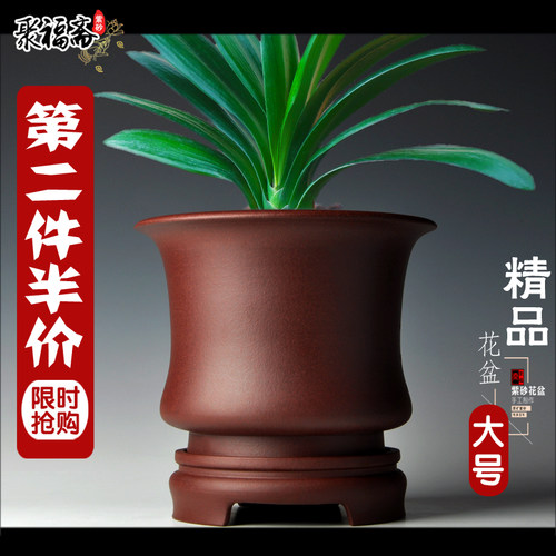 紫砂花盆大号透气盆景盆特价清仓