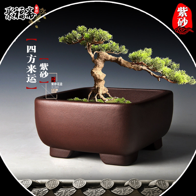 厂家直销中国风原矿紫砂四方花盆