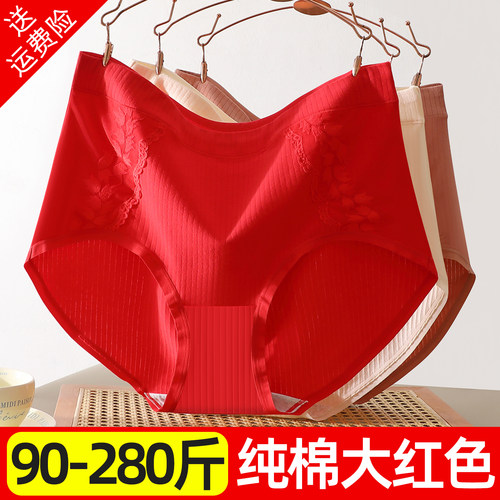 本命年大码胖mm纯棉内裤女