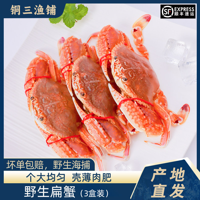 东山特产扁蟹海捕螃蟹梭子蟹肉蟹花蟹螃蜞蟹钳舟山海鲜鲜活小螃蟹,水产肉类/新鲜蔬果/熟食,梭子蟹,淘宝优惠券,粉丝福利购,淘宝优惠卷