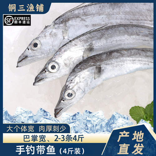 特大带鱼段整条切段雷达网小眼东海刀鱼新鲜鲜活冷冻礼盒装2000g