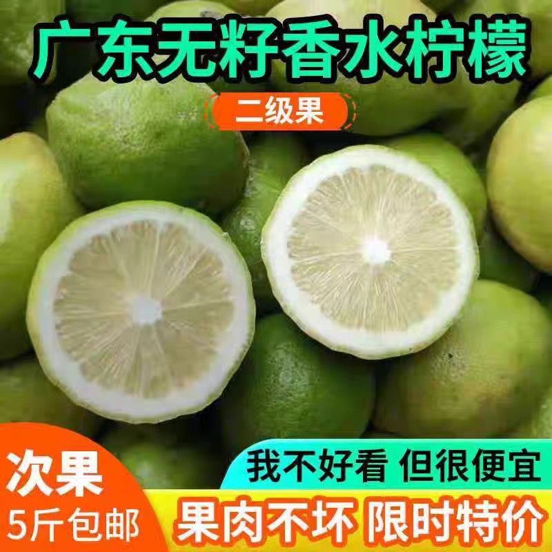 正宗广东无籽香水柠檬二级果 果肉不坏 奶茶店茶饮店专用