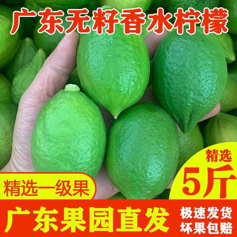 鸭屎香香水柠檬一级果 5斤装整箱 茶饮店专用柠檬 手打柠檬茶