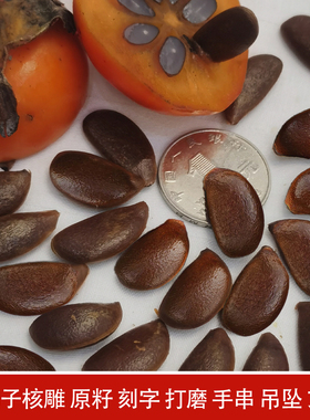 野生土大柿子籽核雕柿子种子天然菩提原籽刻字手串挂件吊坠文玩