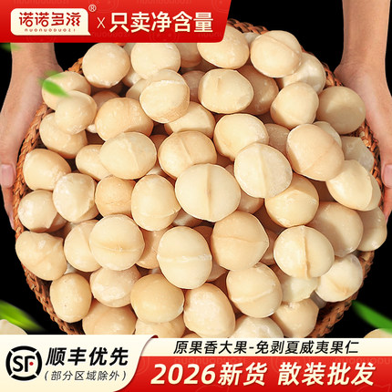 2026年新货夏威夷果仁坚果原味烘焙澳洲散装干果批发