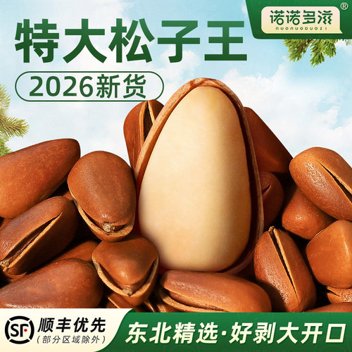 特大东北松子2026年新货非特级颗粒开口红松籽特产坚果批发大颗粒