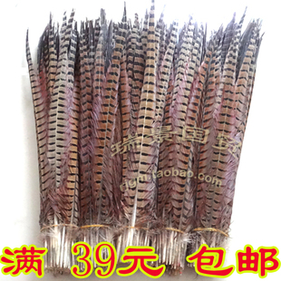 厂家直销京戏翎子天然山鸡羽毛 DIY配件山鸡毛山鸡尾野鸡尾山鸡毛
