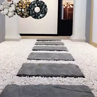 Bluestone Step Step Court Garden Garden Расположение сад на открытом воздухе.