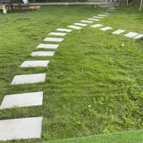 Гранитный кунжут белый серый огонь горящая тарелка сухой висящий личини.