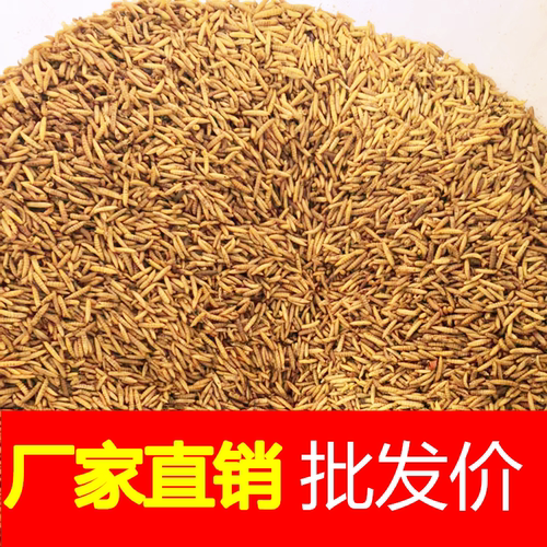 黑水虻微波烘干虫高钙高蛋白饲料