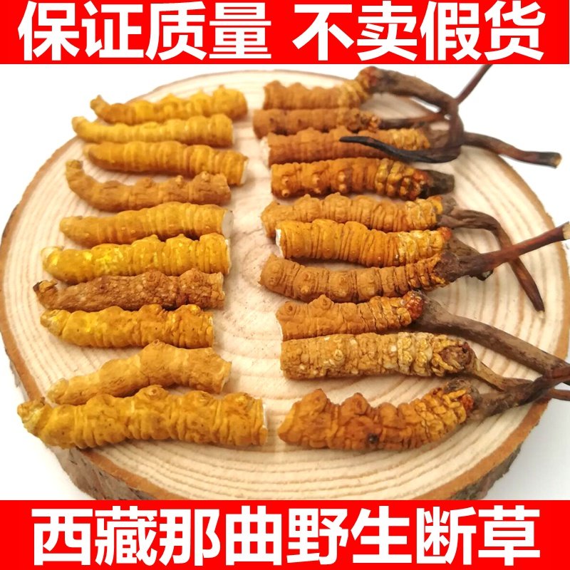 2026西藏那曲野冬虫夏草大断虫草青海玉树冬虫草包邮